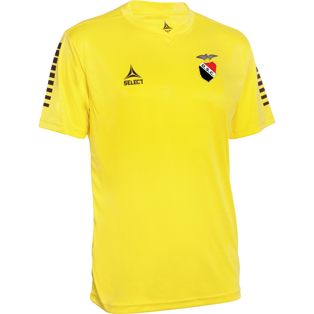 CAMISOLA PISA TREINO GR